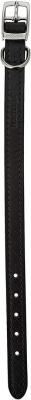 Ancol Diamond Leather Collar Black XS (22-26cm) RRP £5 CLEARANCE XL £2.99